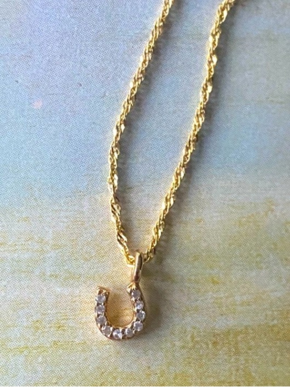 Delicate Horseshoe Gold Rope Chain Necklace for Women